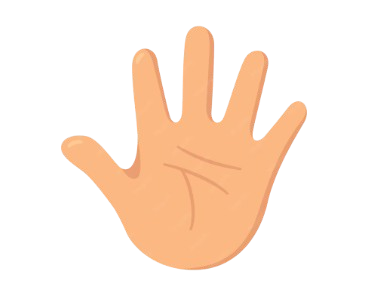 Palm